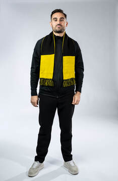 Sotirios Papagiannopoulos, AIK