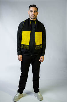 Sotirios Papagiannopoulos, AIK