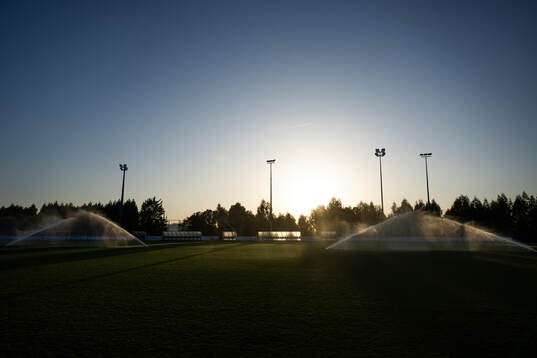 The pitch is watered