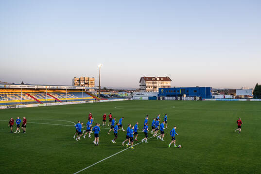Players of the Swedish men's national football team
