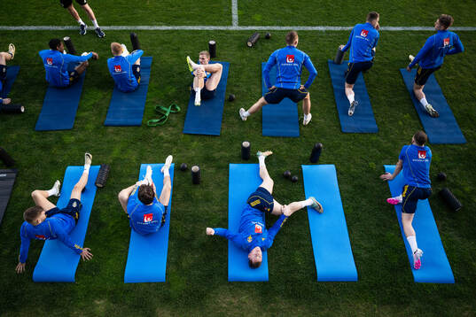 Emil Krafth with team mates of the Swedish men's national