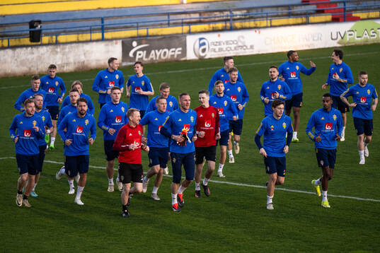 Players of the Swedish men's national football team