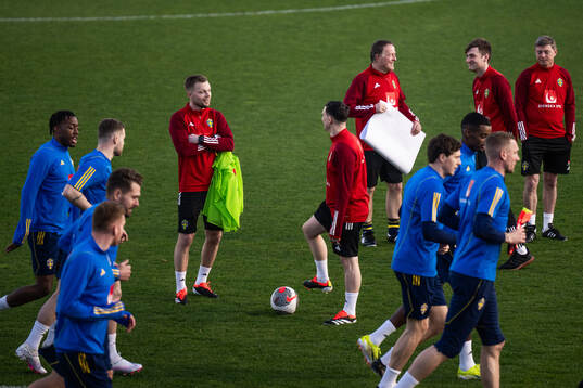 Assistant coach Sebastian Larsson of the Swedish men's