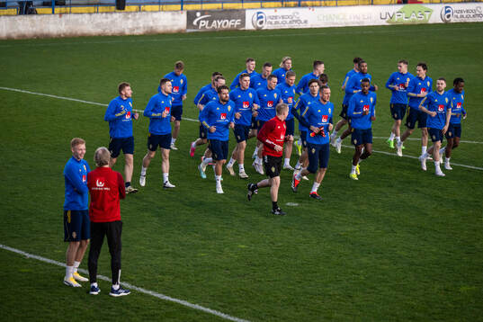 Hugo Larsson stand