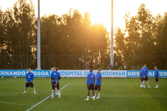 Emil Forsberg with team mates of the Swedish men's national