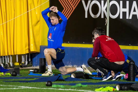 Samuel Gustafson of the Swedish men's national football team