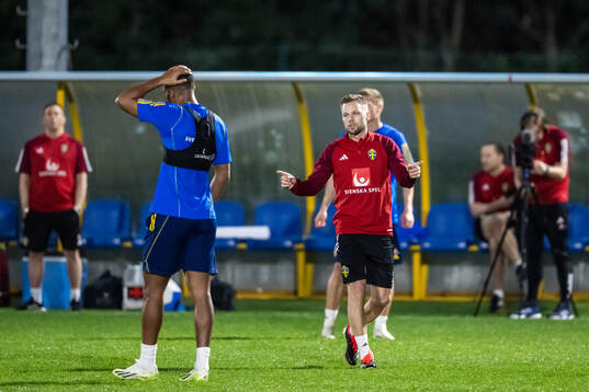 Assistant coach Sebastian Larsson of the Swedish men's