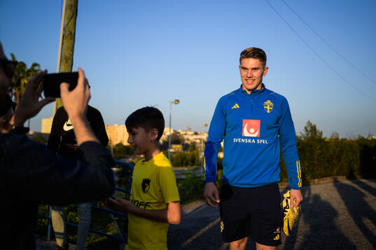Viktor Gyökeres of the Swedish men's national football team
