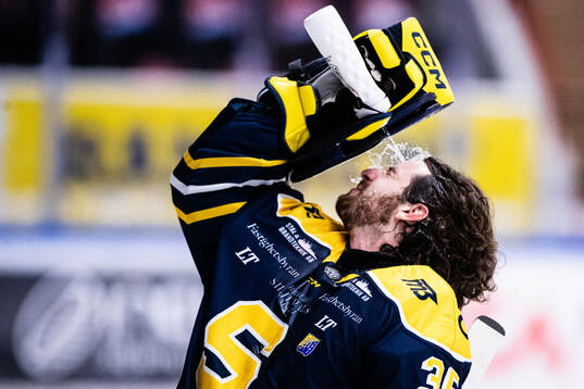 Södertäljes målvakt Tomas Sholl