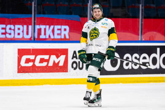 Björklövens Scott Pooley utvisad i två minuter för