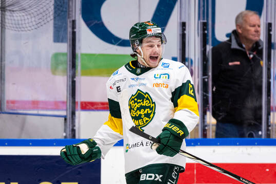 Björklövens Scott Pooley utvisad i två minuter för