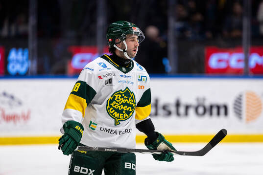 Björklövens Brandon Manning deppar