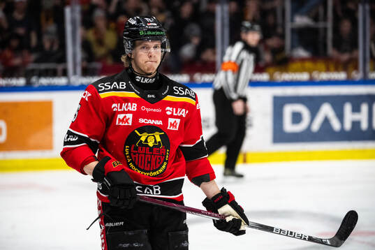 Luleås Marcus Hardegård deppar