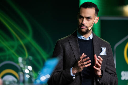 Farouk Nehdi, domare