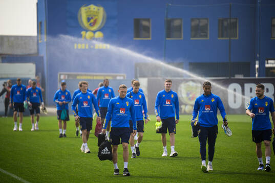 Ludwig Augustinsson and Jens Cajuste of the Swedish men's