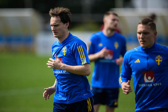 Hjalmar Ekdal of the Swedish men's national football team
