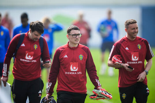 Physio coach Ben Rosen of the Swedish men's national