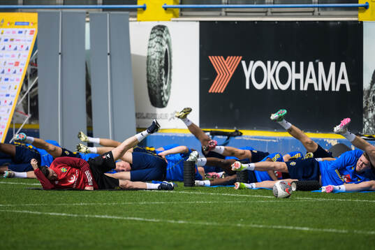 Physio coach Ben Rosen of the Swedish men's national