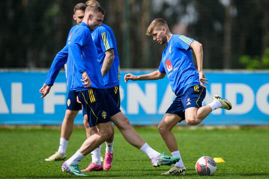 Gustaf Nilsson and Anton Salétros of the Swedish men's