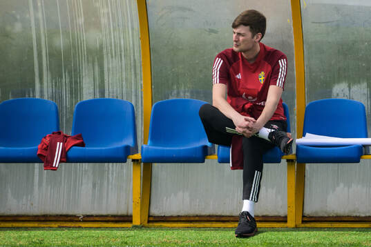 Liam Holt, temporary analyst of the Swedish men's national