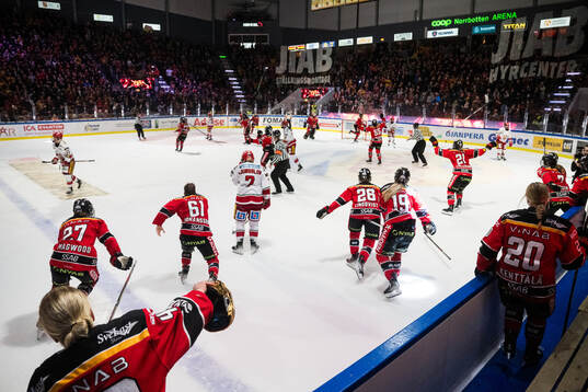 Luleås spelare jublar