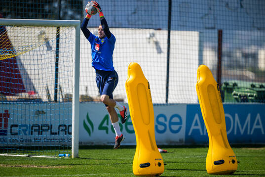 Goalkeeper Robin Olsen of the Swedish men's national