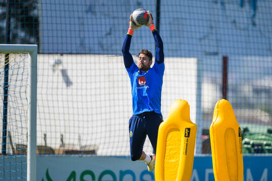 Goalkeeper Kristoffer Nordfeldt of the Swedish men's