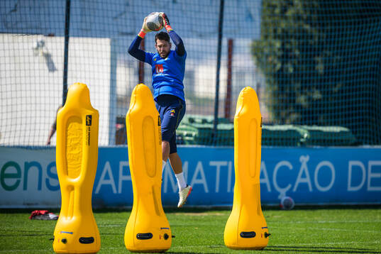 Goalkeeper Kristoffer Nordfeldt of the Swedish men's