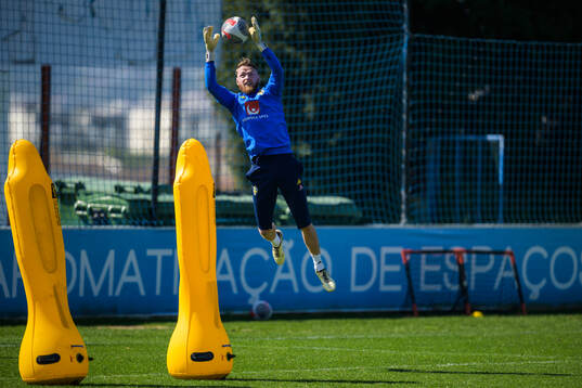 Goalkeeper Viktor Johansson of the Swedish men's national