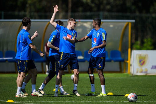 Mattias Svanberg and Alexander Isak of the Swedish men's