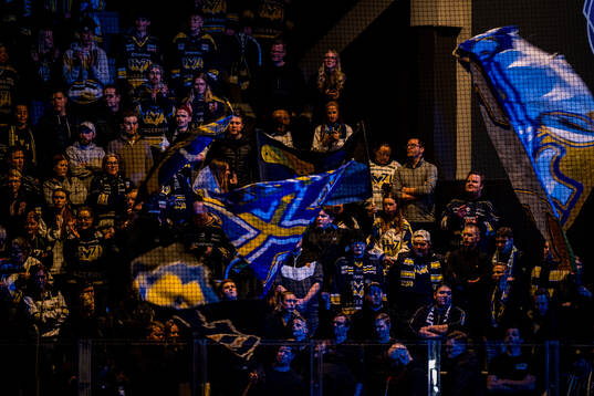 HV71s