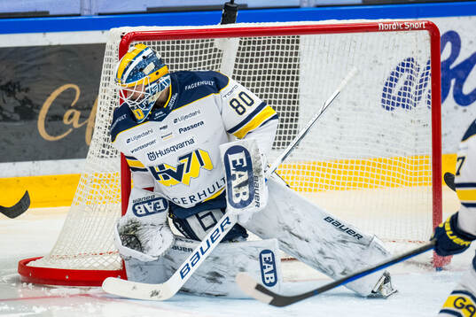 HV71s målvakt Frederik Dichow