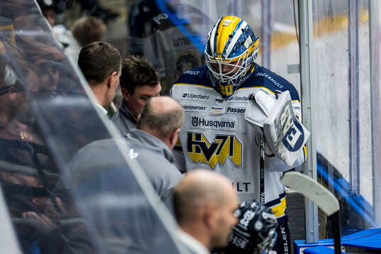 HV71s målvakt Frederik Dichow