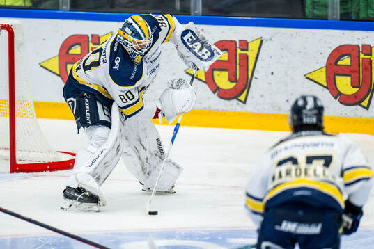 HV71s målvakt Frederik Dichow