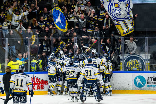 HV71s spelare jublar