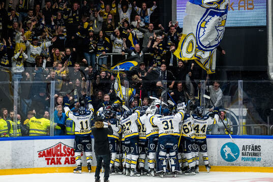 HV71s spelare jublar