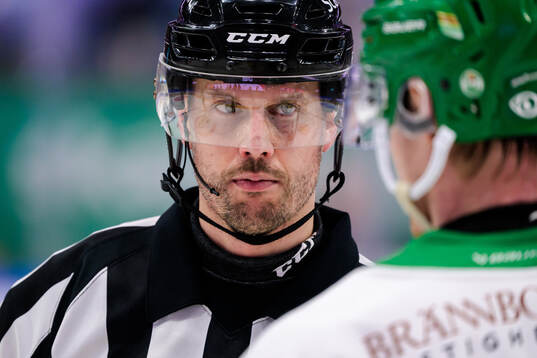 Domare Johan Magnusson