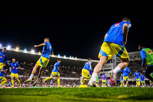 Players of Sweden
