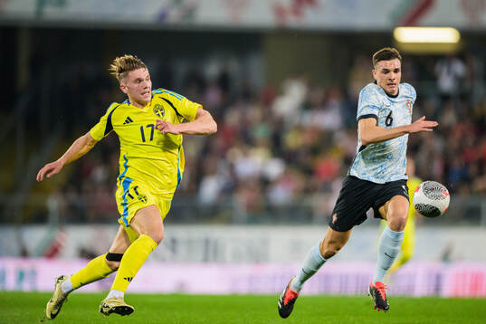Viktor Gyökeres of Sweden and Joao Palhinha of Portugal