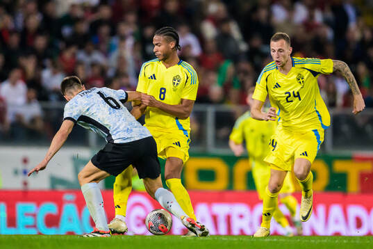 Joao Palhinha of Portugal against Jens Cajuste and Gustaf