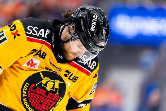 Luleås Brendan Shinnimin deppar