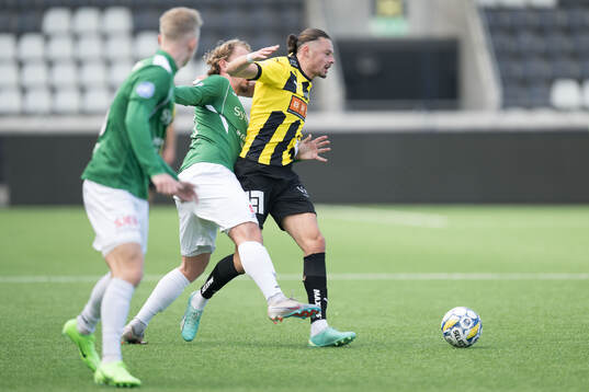 Häckens Amor Layouni