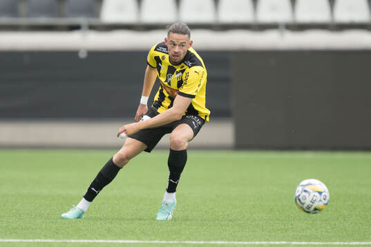 Häckens Amor Layouni