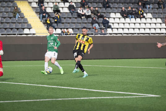 Häckens Amor Layouni