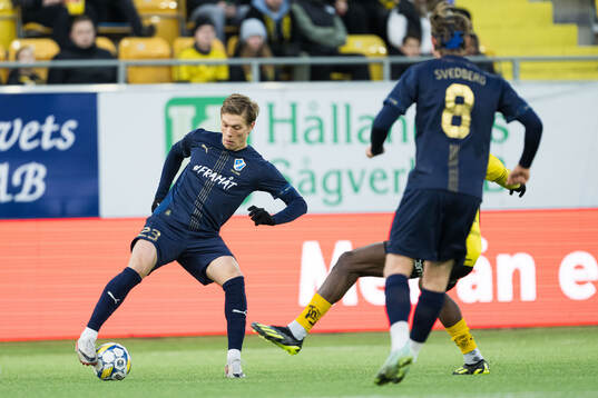 Halmstads Birnir Ingason