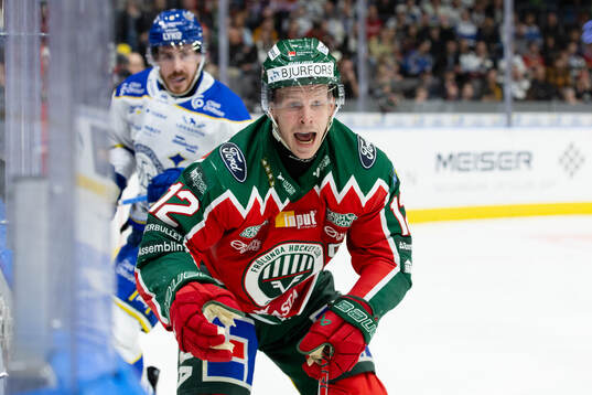 Frölundas Max Friberg