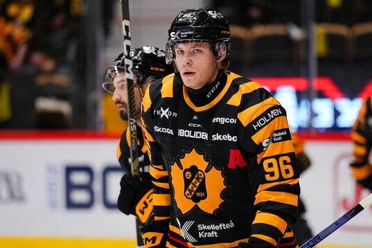 Skellefteås Rickard Hugg
