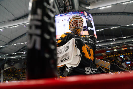 Skellefteås målvakt Linus Söderström