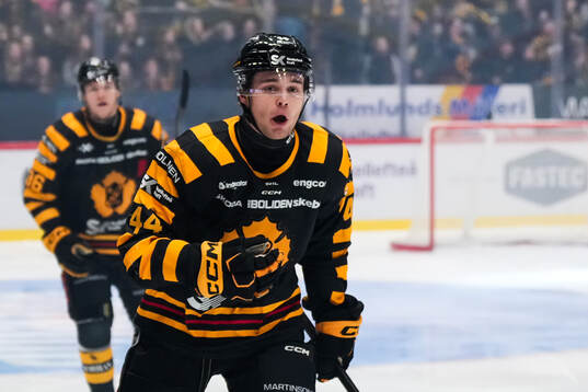 Skellefteås Elias Salomonsson jublar