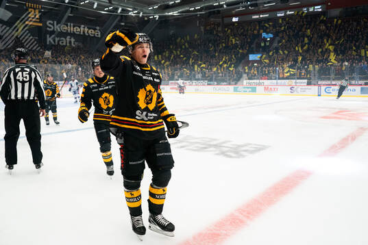 Skellefteås Rickard Hugg jublar